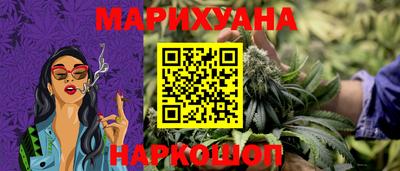 крисы Будённовск