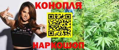 крисы Будённовск