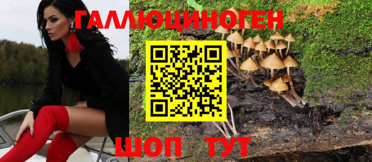 Ржев  Псилоцибиновые грибы MAGIC MUSHROOMS  Галлюциногенные грибы мицелий  Вход с VPN 
