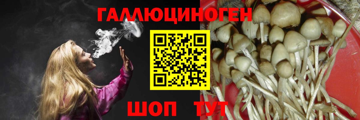 Псилоцибиновые грибы Cubensis Ржев