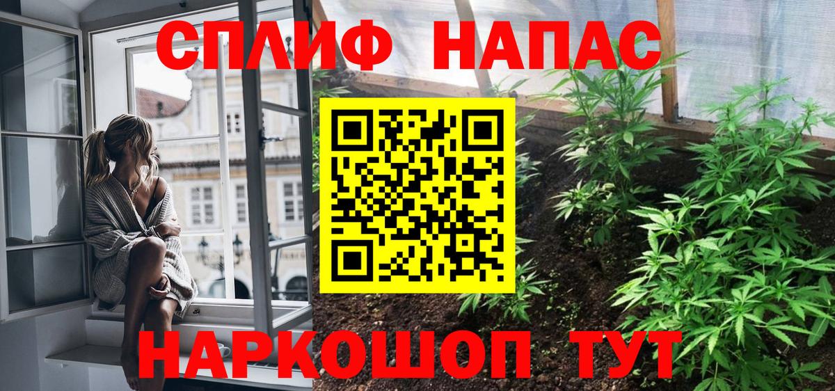 Шишки марихуана ГИДРОПОН  Бошки марихуана Bruce Banner  Ржев  МАРИХУАНА сатива  Вход с VPN  Конопля тримм 